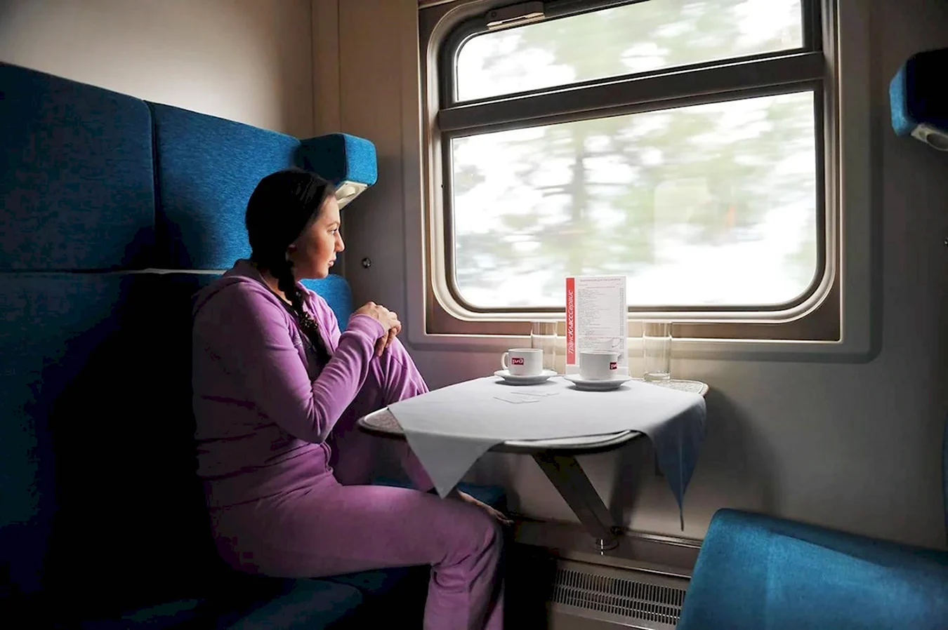 Женщина в поезде