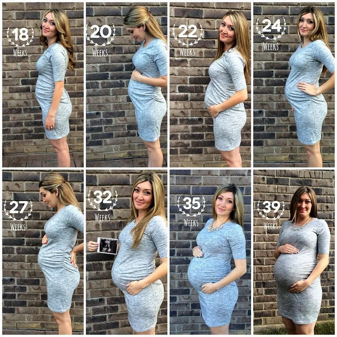 Живот беременной по месяцам