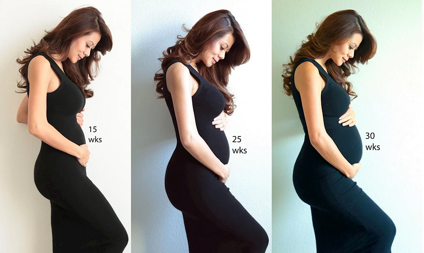 Живот по месяцам беременности