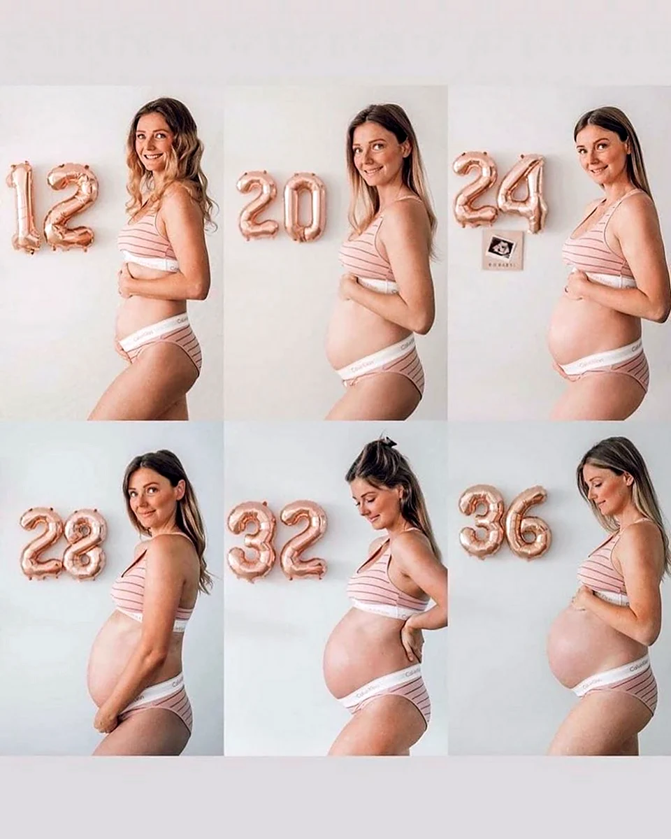 Живот у беременных по месяцам