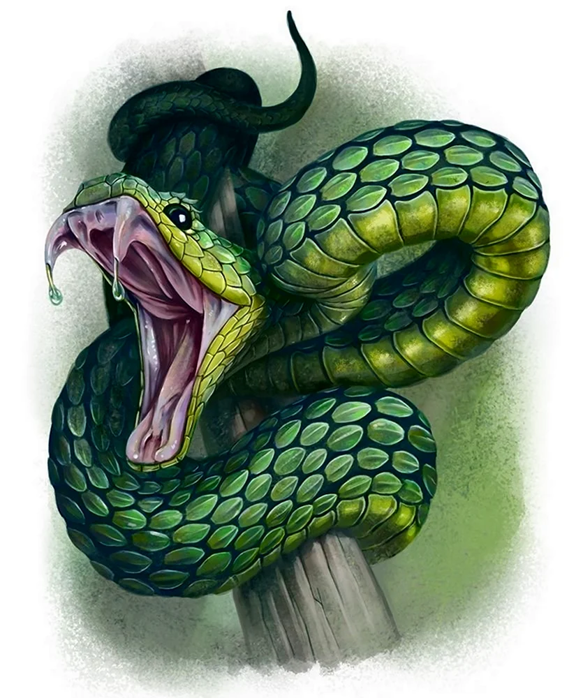 Змея Аспид зеленый